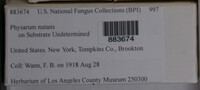 Image Associated With the Occurence